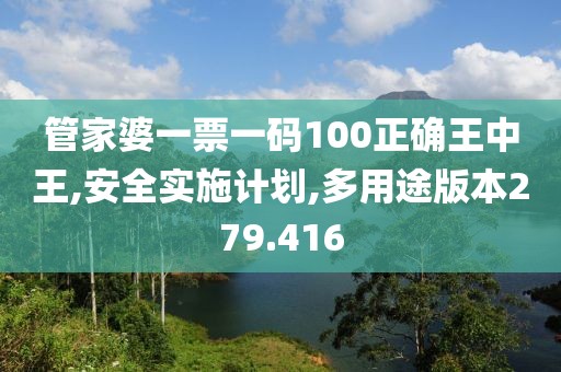 管家婆一票一码100正确王中王,安全实施计划,多用途版本279.416