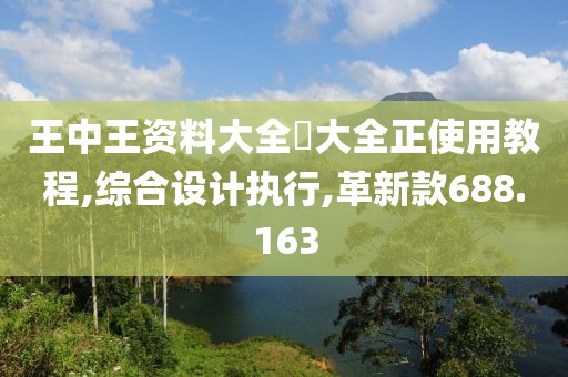 王中王资料大全枓大全正使用教程,综合设计执行,革新款688.163