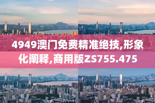 4949澳门免费精准绝技,形象化阐释,商用版ZS755.475
