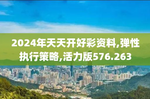 2024年天天开好彩资料,弹性执行策略,活力版576.263