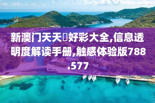 新澳门天天幵好彩大全,信息透明度解读手册,触感体验版788.577