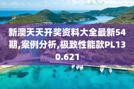 新澳天天开奖资料大全最新54期,案例分析,极致性能款PL130.621