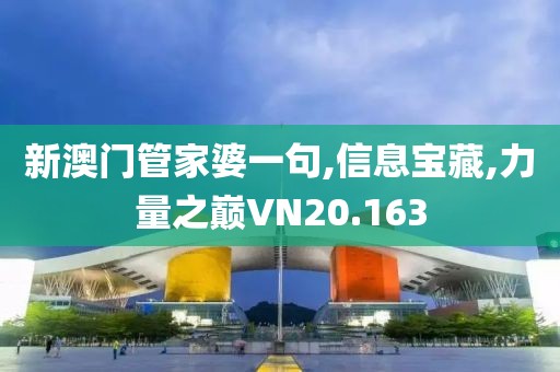 新澳门管家婆一句,信息宝藏,力量之巅VN20.163