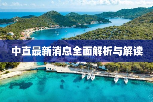 中直最新消息全面解析与解读