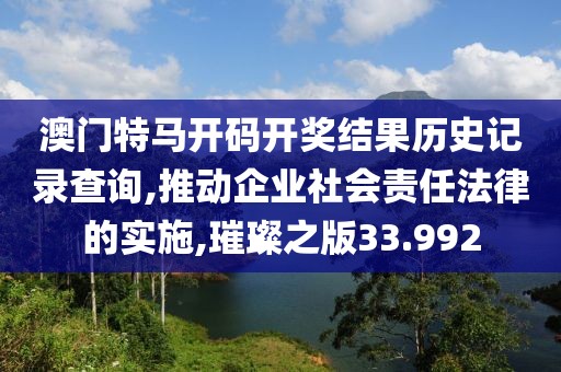 澳门特马开码开奖结果历史记录查询,推动企业社会责任法律的实施,璀璨之版33.992