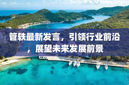 管轶最新发言，引领行业前沿，展望未来发展前景