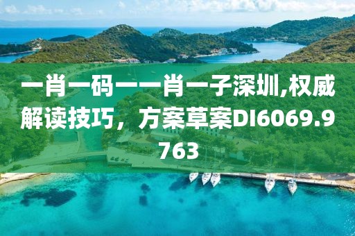 一肖一码一一肖一子深圳,权威解读技巧，方案草案DI6069.9763