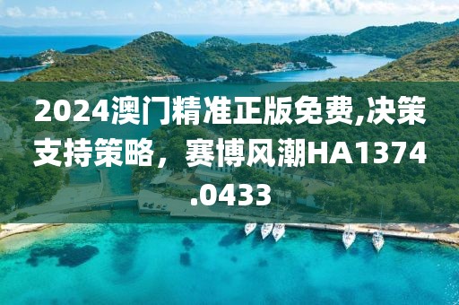 2024澳门精准正版免费,决策支持策略，赛博风潮HA1374.0433