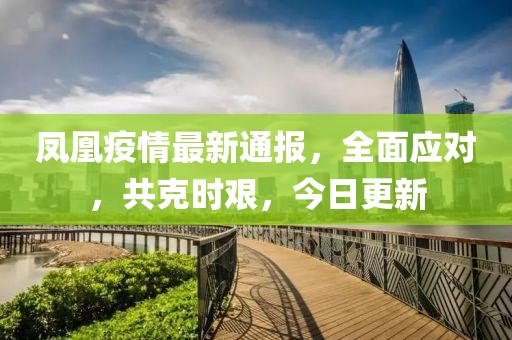 凤凰疫情最新通报，全面应对，共克时艰，今日更新