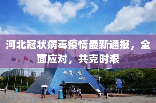 河北冠状病毒疫情最新通报，全面应对，共克时艰
