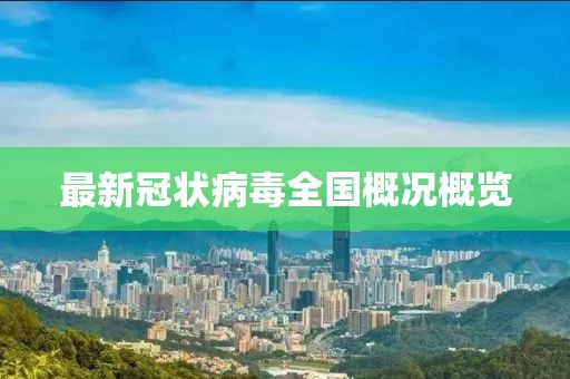 最新冠状病毒全国概况概览