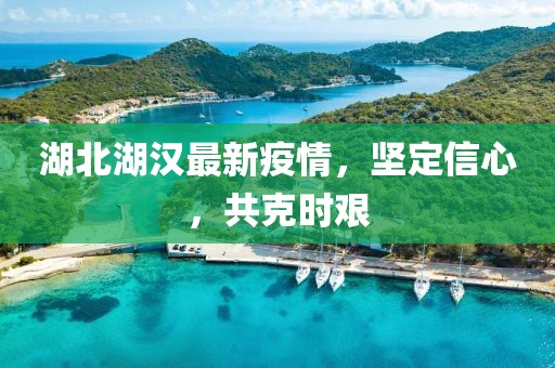 湖北湖汉最新疫情，坚定信心，共克时艰