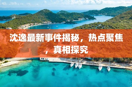 沈逸最新事件揭秘，热点聚焦，真相探究