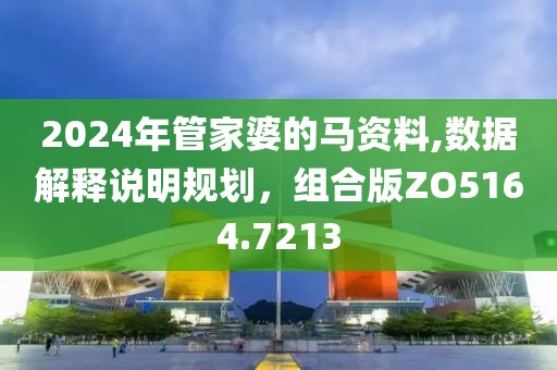 2024年管家婆的马资料,数据解释说明规划，组合版ZO5164.7213