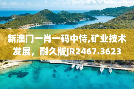 新澳门一肖一码中恃,矿业技术发展，耐久版JR2467.3623
