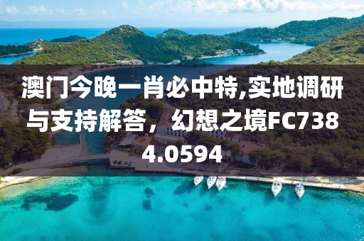 澳门今晚一肖必中特,实地调研与支持解答，幻想之境FC7384.0594