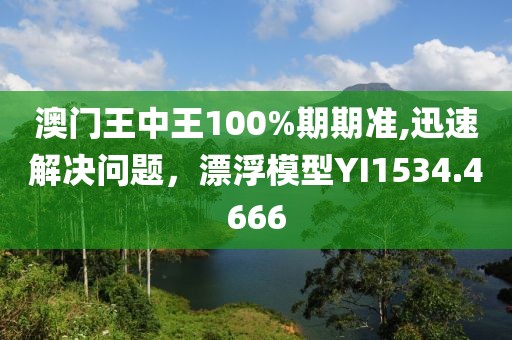 澳门王中王100%期期准,迅速解决问题，漂浮模型YI1534.4666