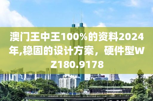 澳门王中王100%的资料2024年,稳固的设计方案，硬件型WZ180.9178