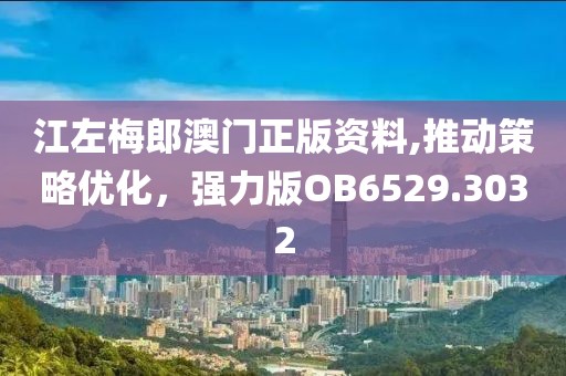 江左梅郎澳门正版资料,推动策略优化，强力版OB6529.3032