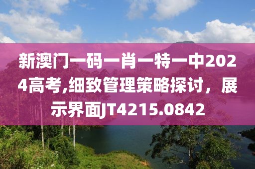 新澳门一码一肖一特一中2024高考,细致管理策略探讨，展示界面JT4215.0842