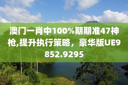 澳门一肖中100%期期准47神枪,提升执行策略，豪华版UE9852.9295