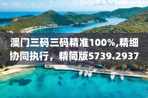 澳门三码三码精准100%,精细协同执行，精简版5739.2937