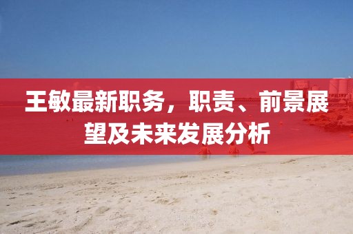 王敏最新职务，职责、前景展望及未来发展分析