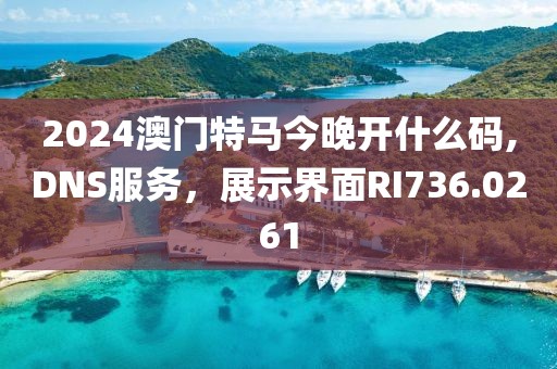 2024澳门特马今晚开什么码,DNS服务，展示界面RI736.0261