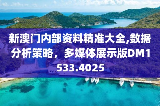 新澳门内部资料精准大全,数据分析策略，多媒体展示版DM1533.4025
