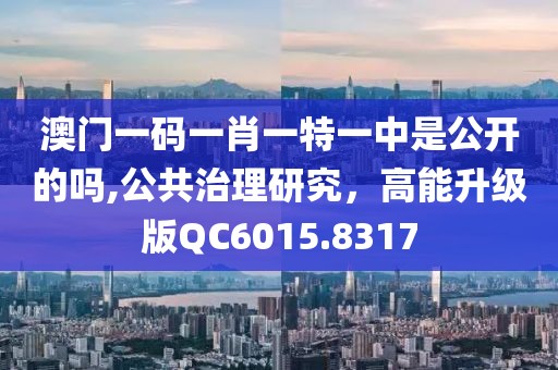 澳门一码一肖一特一中是公开的吗,公共治理研究，高能升级版QC6015.8317