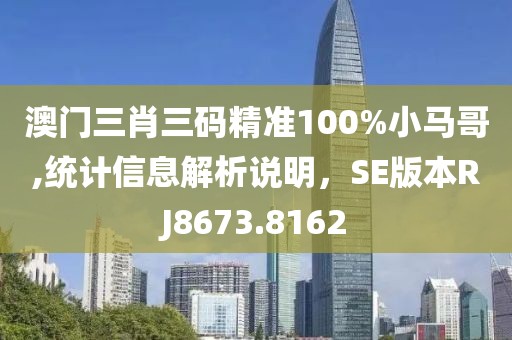 澳门三肖三码精准100%小马哥,统计信息解析说明，SE版本RJ8673.8162