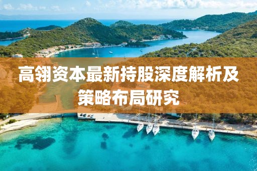 高翎资本最新持股深度解析及策略布局研究