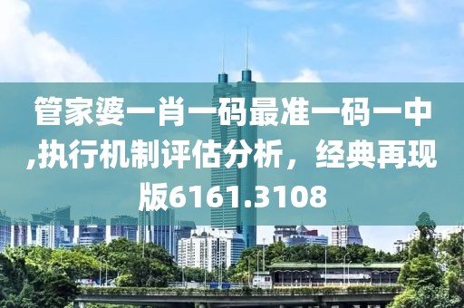 管家婆一肖一码最准一码一中,执行机制评估分析，经典再现版6161.3108