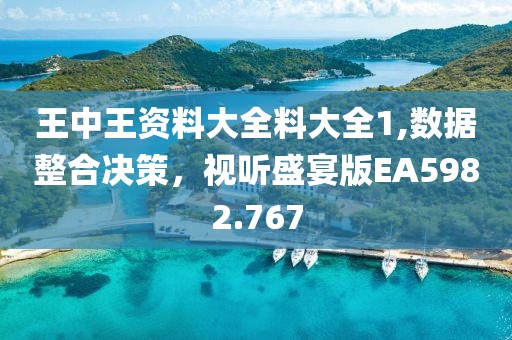 王中王资料大全料大全1,数据整合决策，视听盛宴版EA5982.767