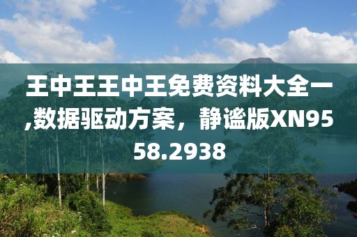 王中王王中王免费资料大全一,数据驱动方案，静谧版XN9558.2938