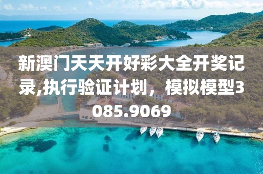 新澳门天天开好彩大全开奖记录,执行验证计划，模拟模型3085.9069