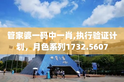 管家婆一码中一肖,执行验证计划，月色系列1732.5607