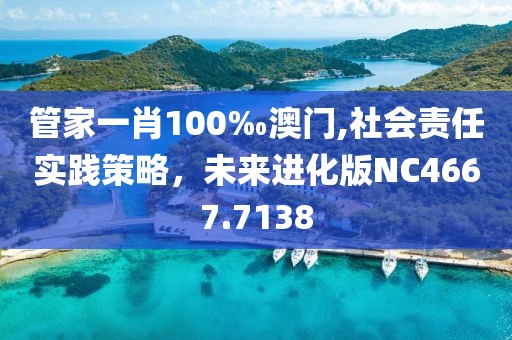 管家一肖100‰澳门,社会责任实践策略，未来进化版NC4667.7138