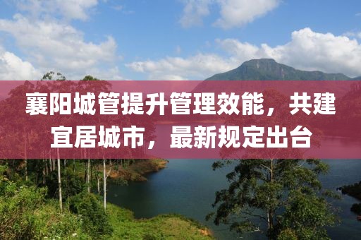 襄阳城管提升管理效能，共建宜居城市，最新规定出台
