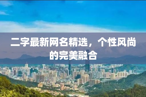 二字最新网名精选，个性风尚的完美融合