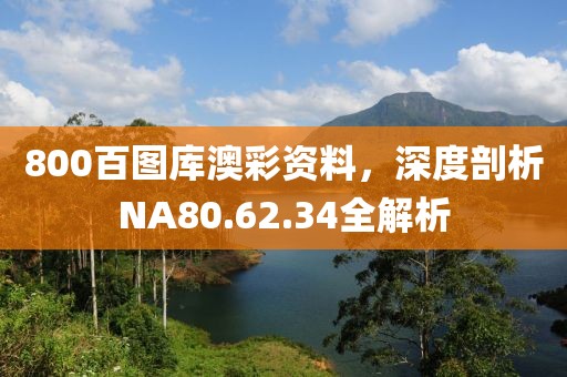 800百图库澳彩资料，深度剖析NA80.62.34全解析
