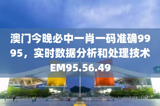 澳门今晚必中一肖一码准确9995，实时数据分析和处理技术EM95.56.49