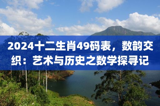 2024十二生肖49码表，数韵交织：艺术与历史之数学探寻记