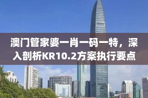 澳门管家婆一肖一码一特，深入剖析KR10.2方案执行要点