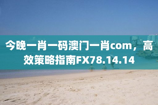 今晚一肖一码澳门一肖com，高效策略指南FX78.14.14