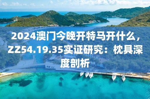 2024澳门今晚开特马开什么，ZZ54.19.35实证研究：枕具深度剖析