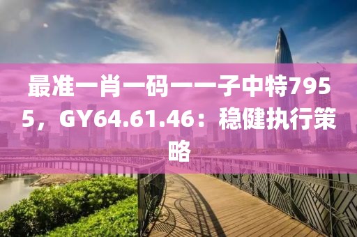 最准一肖一码一一子中特7955，GY64.61.46：稳健执行策略