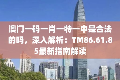 澳门一码一肖一特一中是合法的吗，深入解析：TM86.61.85最新指南解读