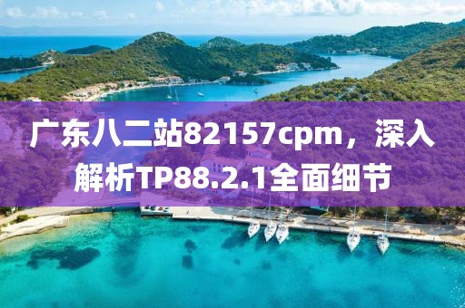 广东八二站82157cpm，深入解析TP88.2.1全面细节