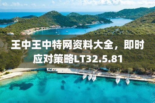 王中王中特网资料大全，即时应对策略LT32.5.81